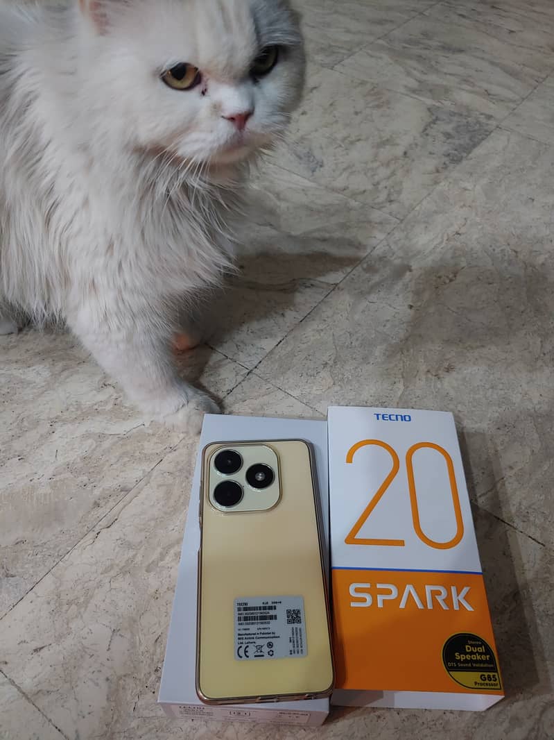 Tecno Spark 20 4