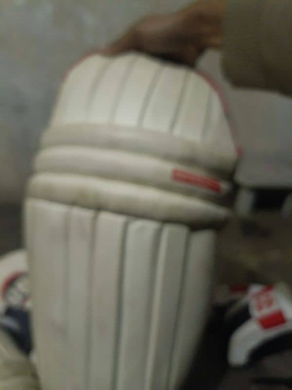 cricket 3