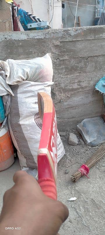 coconut bat for sell 3