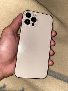 Iphone 12 Pro (Golden) 256Gb Pta Approved