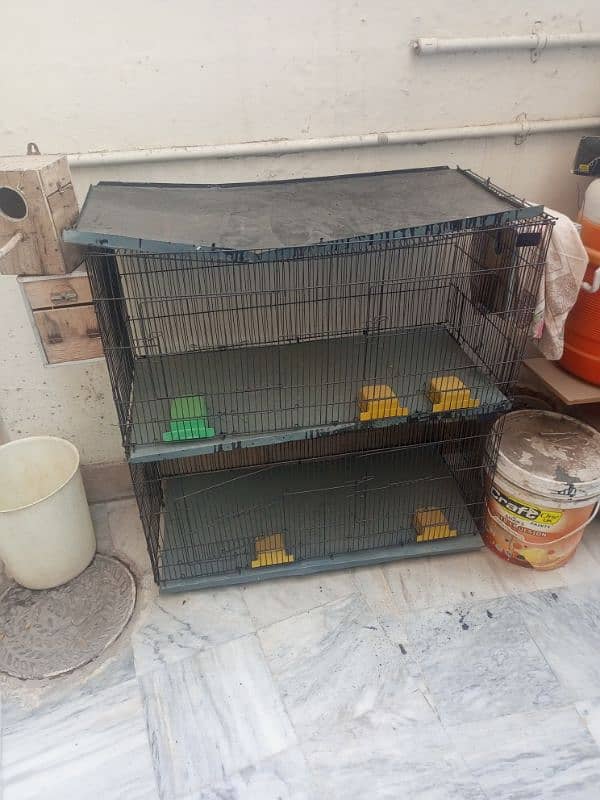 setup love birds cocktail cage for sale location Rawalpindi 0