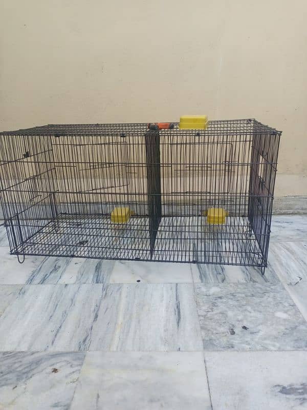 setup love birds cocktail cage for sale location Rawalpindi 1