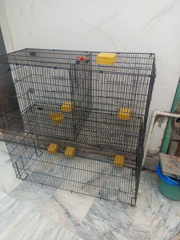 setup love birds cocktail cage for sale location Rawalpindi 2