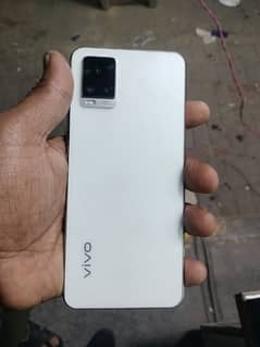 vivo