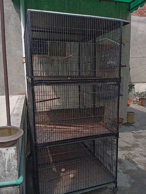 Cage for sale 4