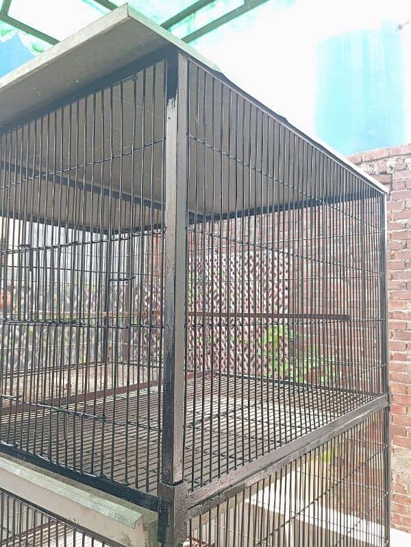 Cage for sale 5