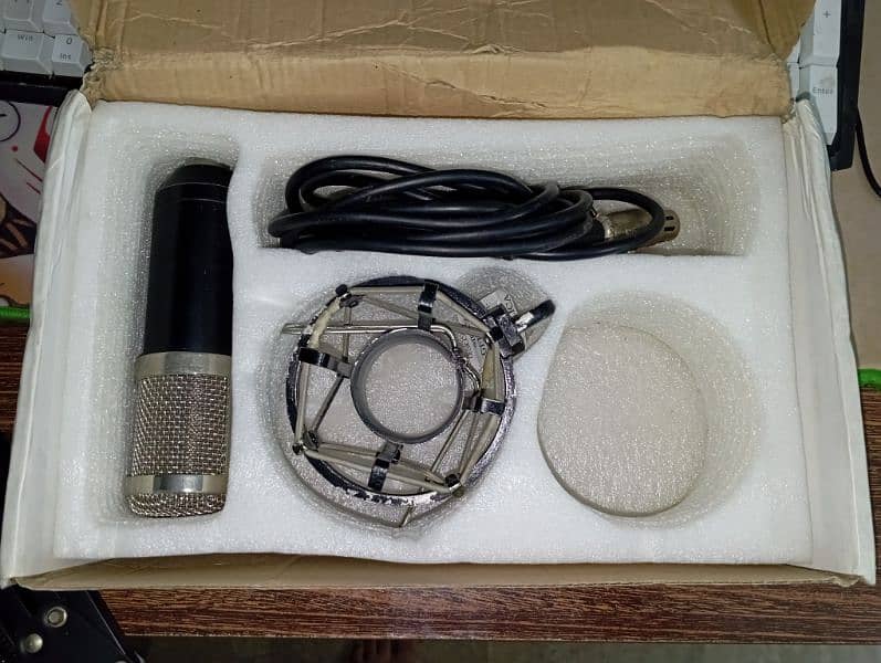 Bm 800 microphone 1