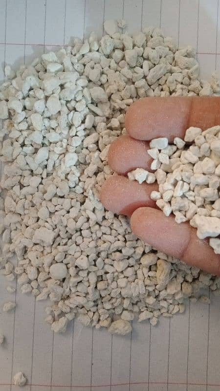 Garden pumice rice husk for plants available 4