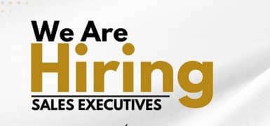 sales Executive Required