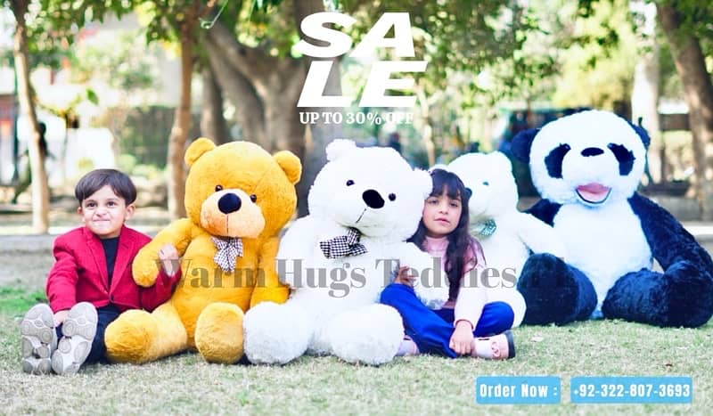 Imported Soft Plush Big Teddy Bears 0