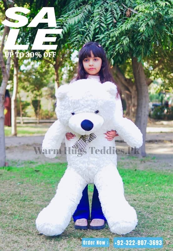 Imported Soft Plush Big Teddy Bears 2