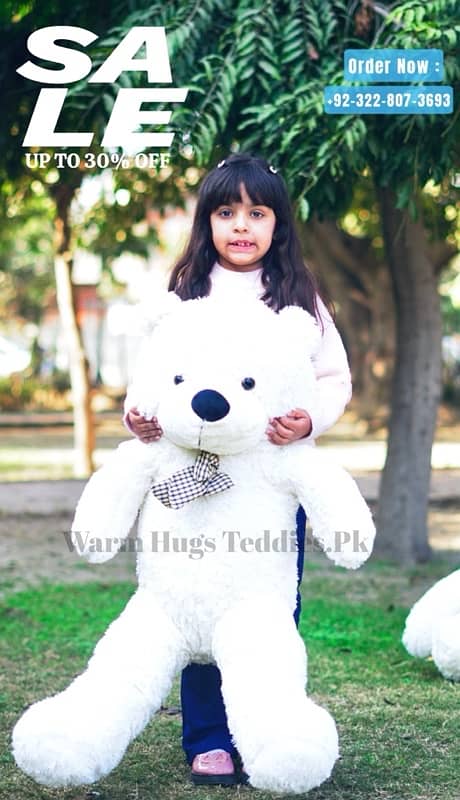 Imported Soft Plush Big Teddy Bears 3