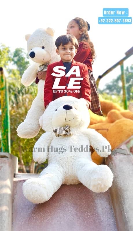 Imported Soft Plush Big Teddy Bears 4