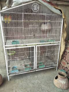 used cage or lutino and red Dove