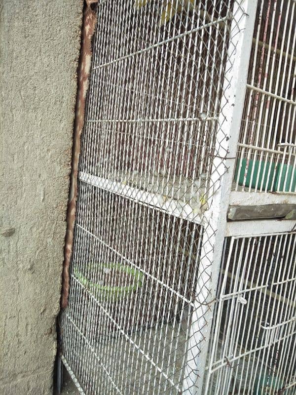 used cage or lutino and red Dove 3