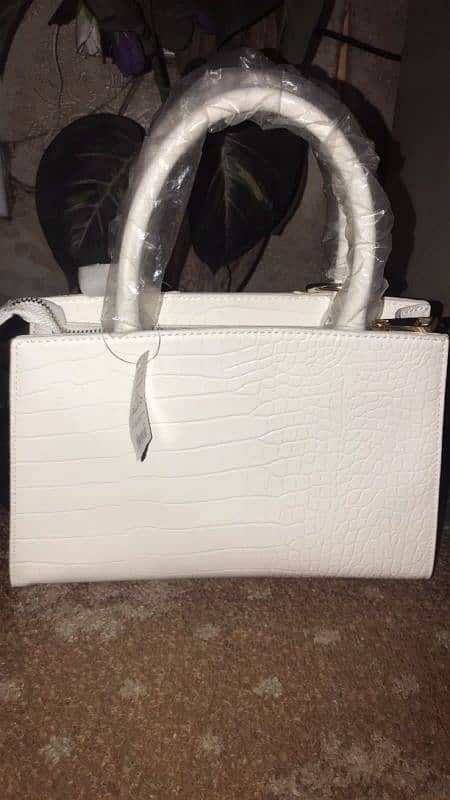 Aldo bag 2