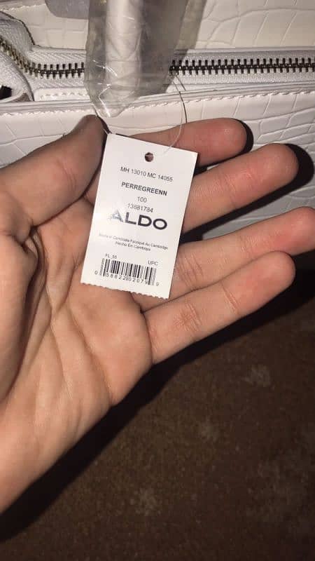 Aldo bag 3