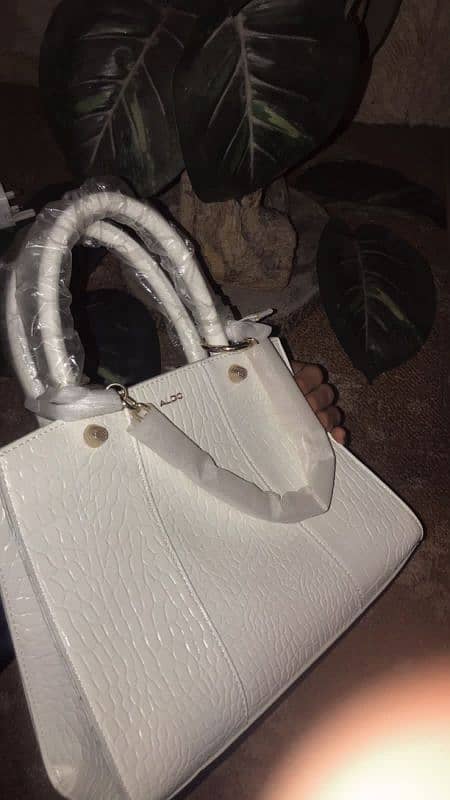 Aldo bag 6