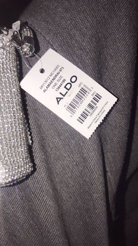 Aldo bag 2