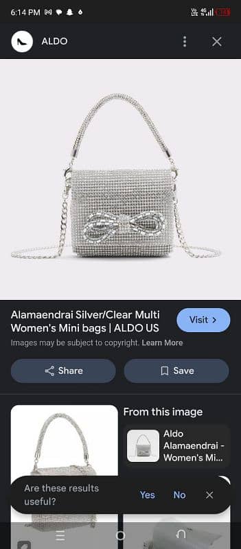 Aldo bag 4