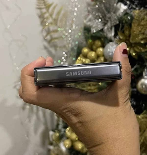 Samsung Z Flip 5 0