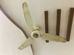 3 Ceiling Fans