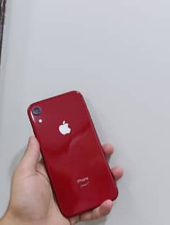 iphone xr 128 gb PTA approved