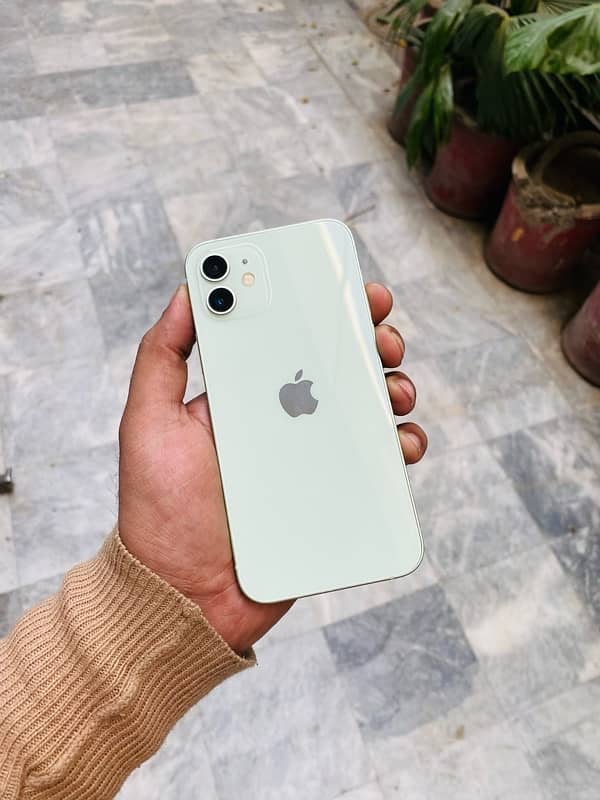 Iphone 12 Green 256 GB JV Non PTA 10/10 1