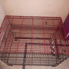 new condition cage of gray or Makaow parrots