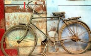 bicycle for sale