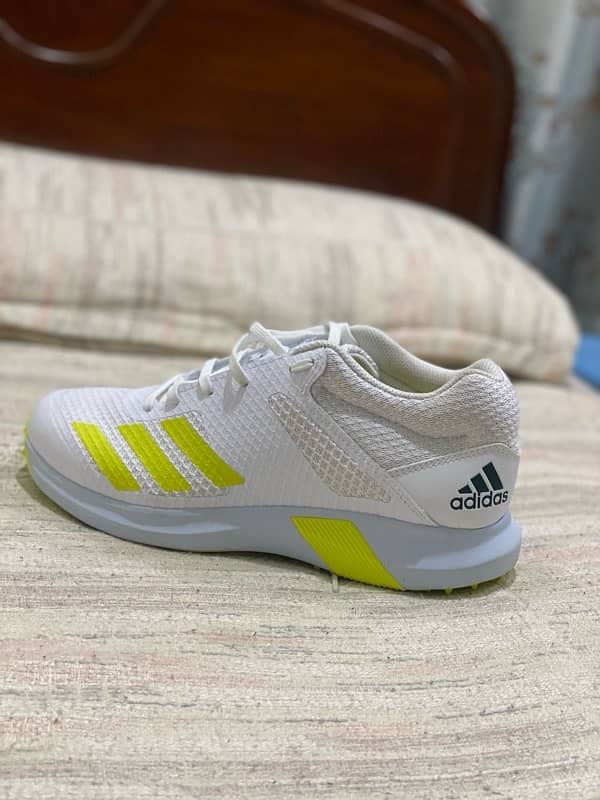 Addidas spikes 2023 addidas adipower vector 0