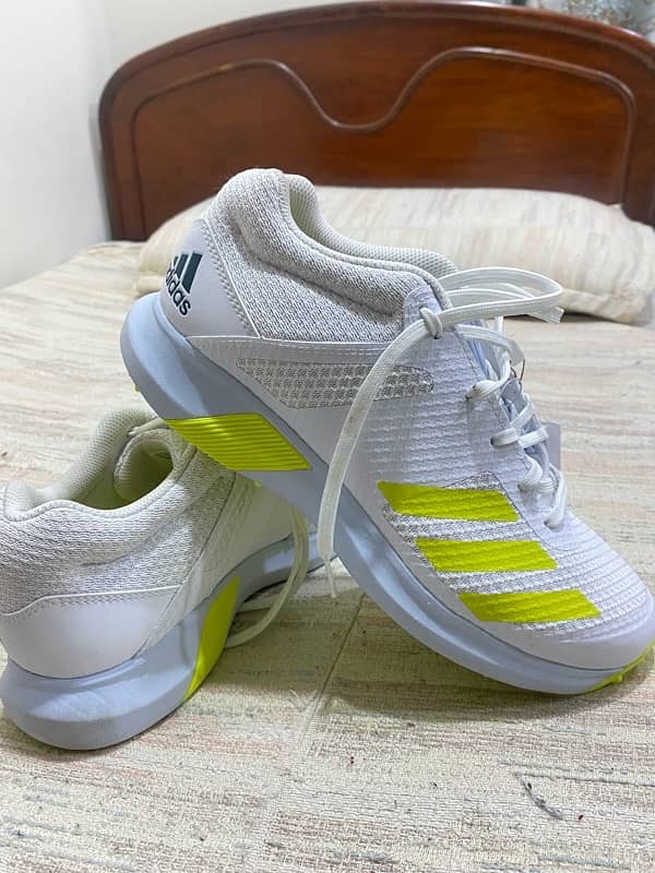 Addidas spikes 2023 addidas adipower vector 1