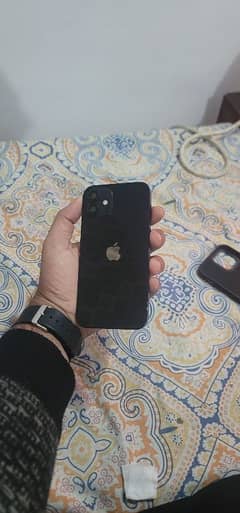 iPhone 12(non pta)