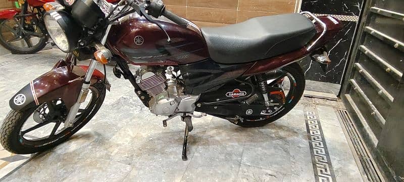 Yamaha 125 Yb dx 2022 mobel h comdtion new jese 03126861760 2