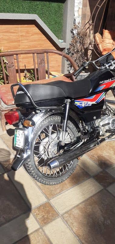 Honda 70cc 2019 1