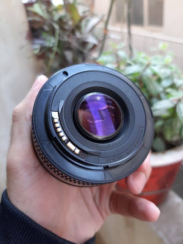 Canon EF 50mm 1.8 Lens 1