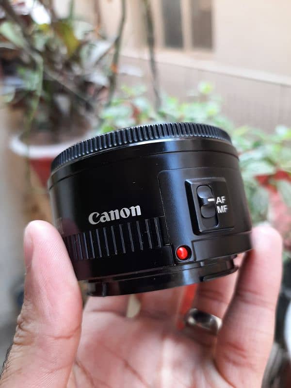 Canon EF 50mm 1.8 Lens 2