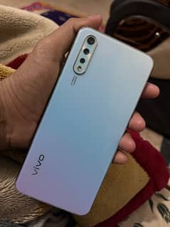 vivo