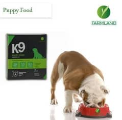 Dog Beginners Food Available in stock with Free Delivery