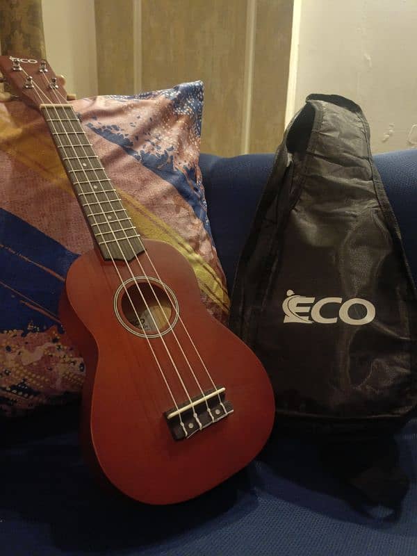 Soprano ukulele 1