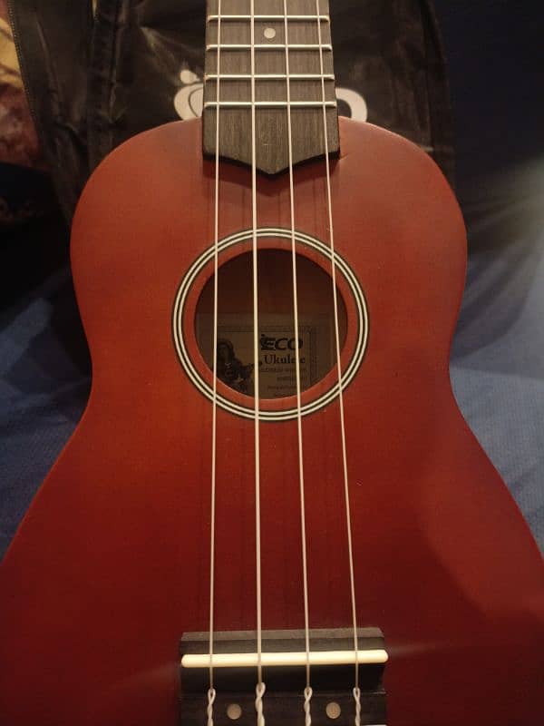 Soprano ukulele 4