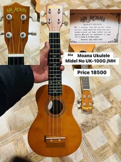 Moana Ukulele We have Semi Acousitc Bass Nylon Electric