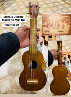 Mahalo Ukulele We have Semi Acoustic Bass Nylon Electric