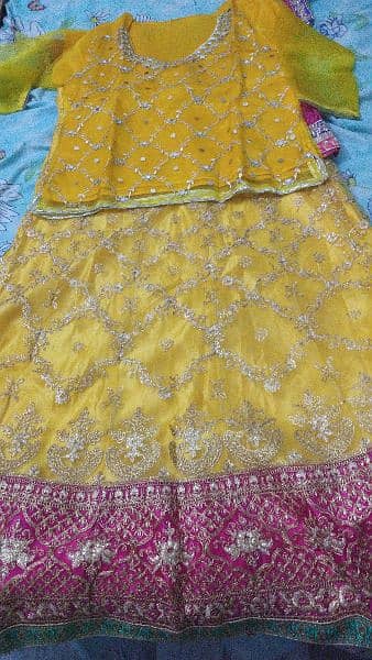 Lehenga 2 pcs Mayoon Mehndi Indian Net Ready to Wear 3