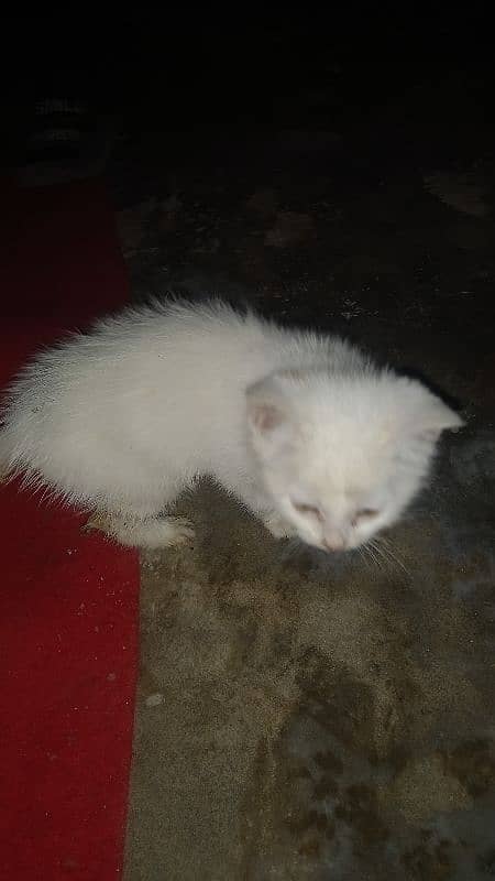 urgent sale read ad dol face male baby 1 month 1