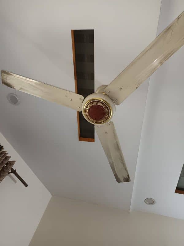 fan ceiling 1