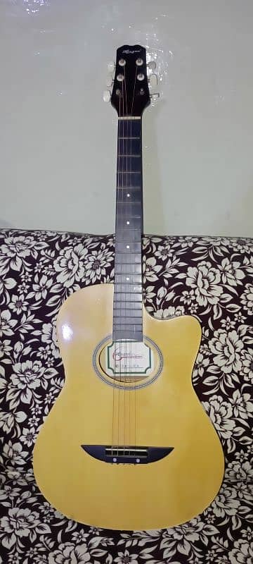 acoustic guitar 4