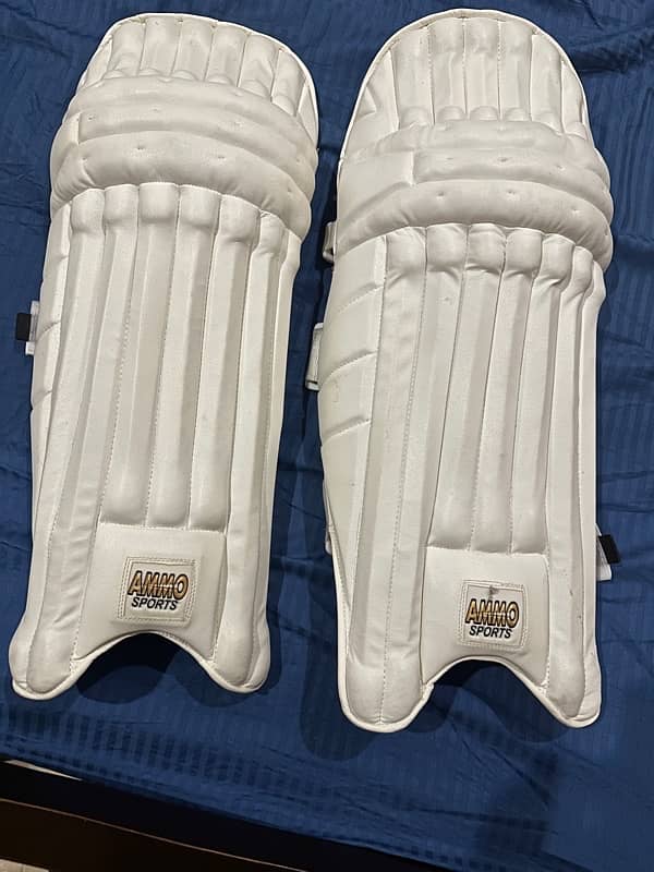 cricket batting pads 1