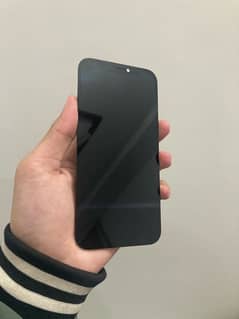 iphone 12 and 12 pro panel