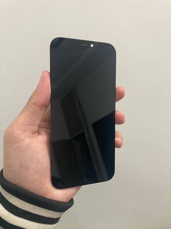 iphone 12 and 12 pro panel 1